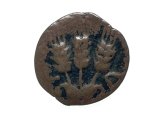 Coin - of Agrippa I
